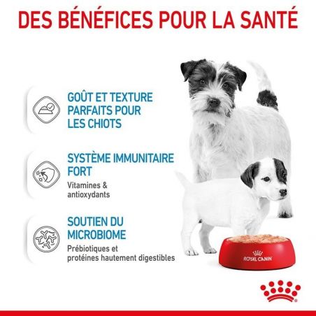 Royal Canin Starter Mother & Babydog en mousse 12 boîte de 195g Royal Canin Starter Mother & Babydog en mousse 12 boîte de 195g