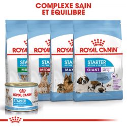Royal Canin Starter Mother & Babydog en mousse 12 boîte de 195g