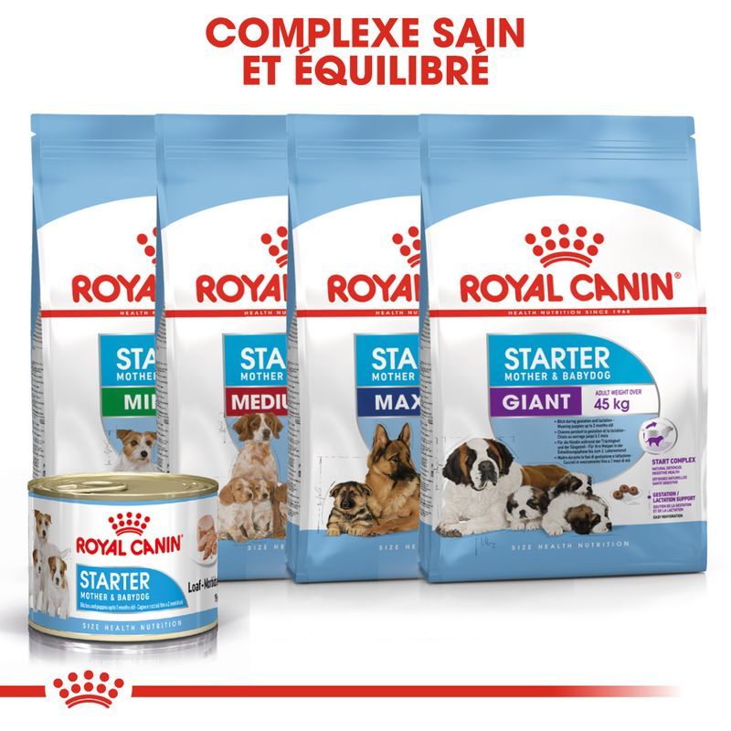 Royal Canin Starter Mother & Babydog en mousse 12 boîte de 195g Royal Canin Starter Mother & Babydog en mousse 12 boîte de 195g