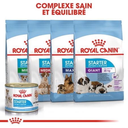 Royal Canin Starter Mother & Babydog en mousse 12 boîte de 195g Royal Canin Starter Mother & Babydog en mousse 12 boîte de 195g