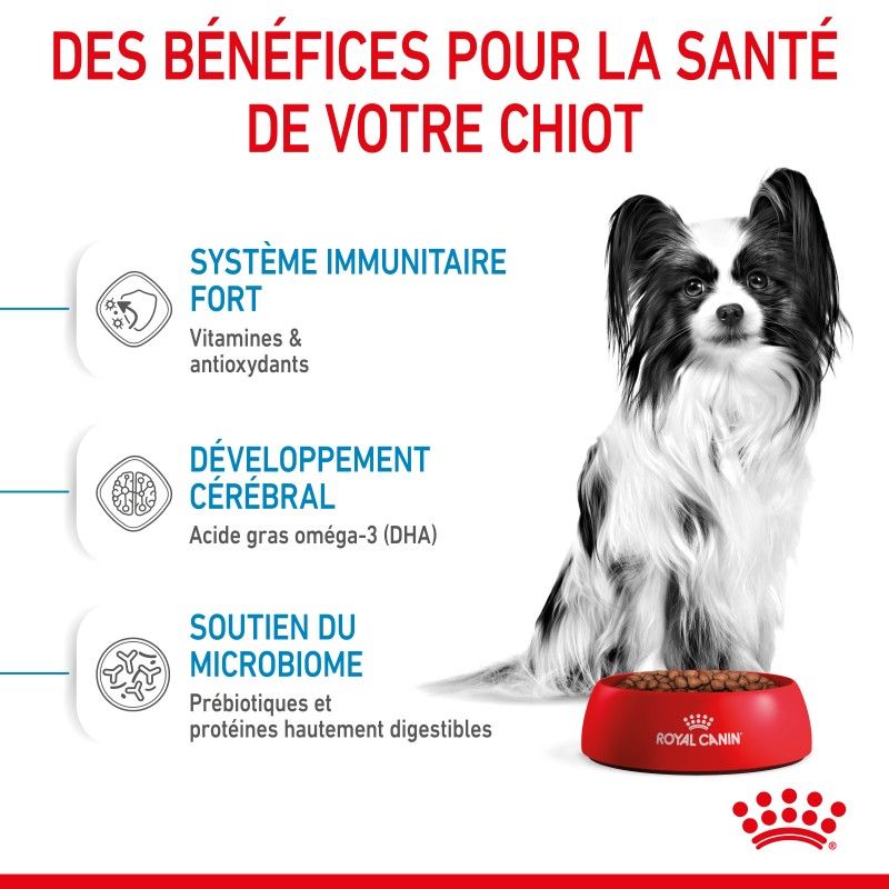 Royal Canin Dog Puppy X Small Royal Canin Dog Puppy X Small