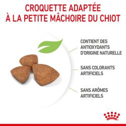 Royal Canin Dog Puppy X Small