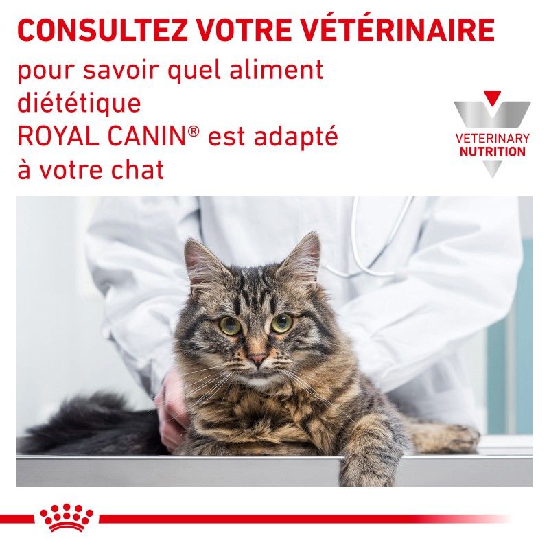 Royal Canin Veterinary Diet Cat Urinary S/O Moderate Calorie Morceaux - 12 sachets de 85 g Royal Canin Veterinary Diet Cat Urinary S/O Moderate Calorie Morceaux - 12 sachets de 85 g