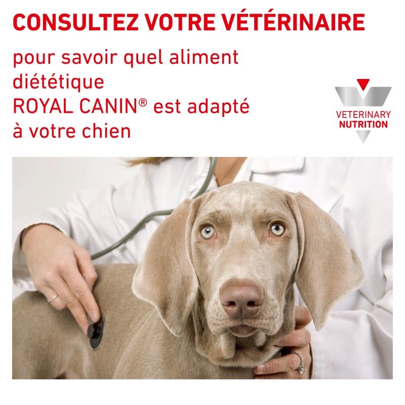 Royal Canin Veterinary Diet dog Urinary Moderate Calorie - 12 sachets de 100 g Royal Canin Veterinary Diet dog Urinary Moderate Calorie - 12 sachets de 100 g