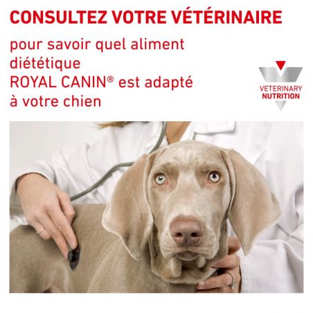 Royal Canin Veterinary Diet dog Urinary Moderate Calorie - 12 sachets de 100 g Royal Canin Veterinary Diet dog Urinary Moderate Calorie - 12 sachets de 100 g