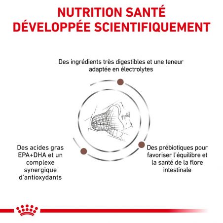 Royal canin Veterinary Diet Cat Gastro intestinal Fibre Response Royal canin Veterinary Diet Cat Gastro intestinal Fibre Response