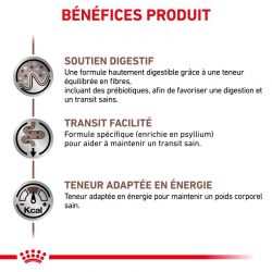 Royal canin Veterinary Diet Cat Gastro intestinal Fibre Response