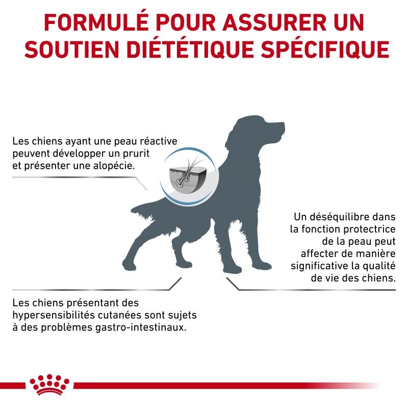 Royal Canin Dog Skin Care Adult Royal Canin Dog Skin Care Adult