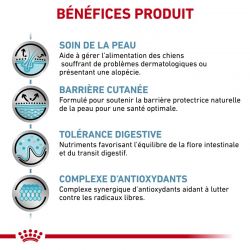 Royal Canin Dog Skin Care Adult