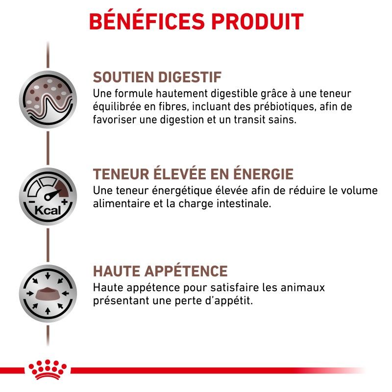 Royal Canin Veterinary Diet Cat Gastro Intestinal -12 sachets de 85 g Royal Canin Veterinary Diet Cat Gastro Intestinal -12 sachets de 85 g