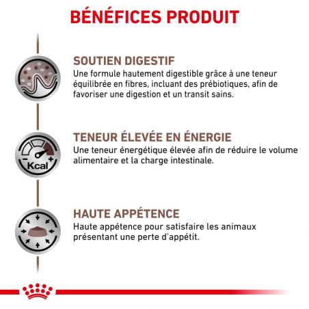 Royal Canin Veterinary Diet Cat Gastro Intestinal -12 sachets de 85 g Royal Canin Veterinary Diet Cat Gastro Intestinal -12 sachets de 85 g