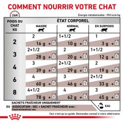 Royal Canin Veterinary Diet Cat Gastro Intestinal -12 sachets de 85 g