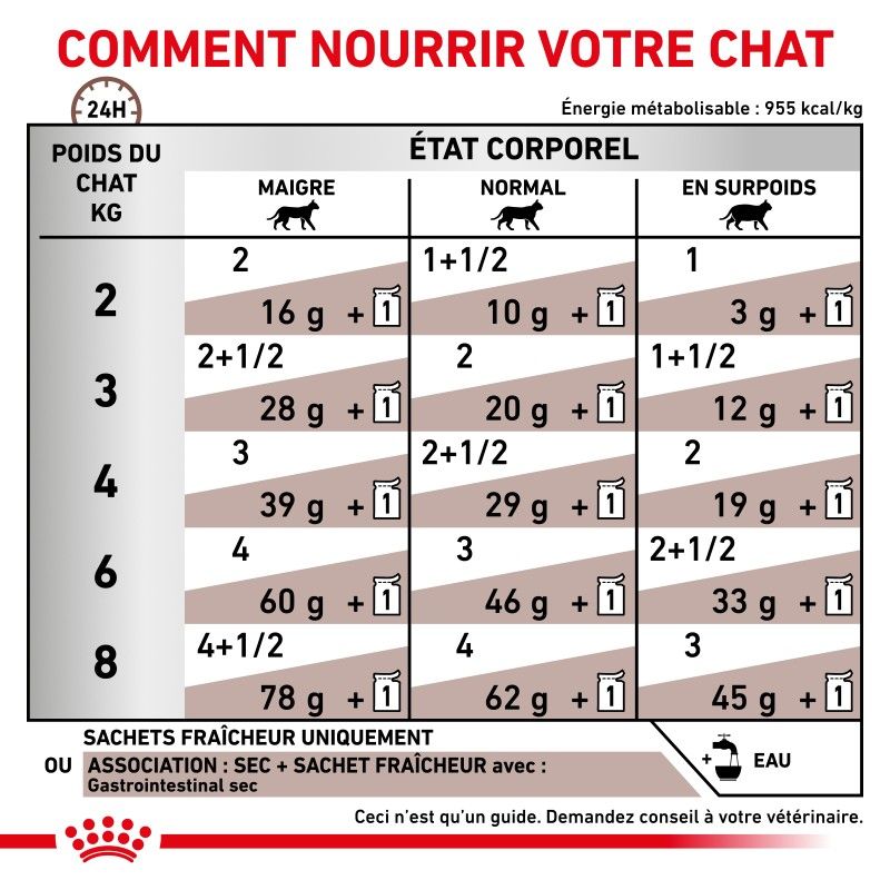 Royal Canin Veterinary Diet Cat Gastro Intestinal -12 sachets de 85 g