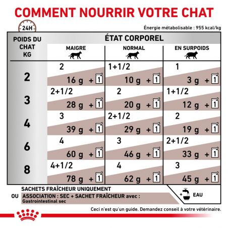 Royal Canin Veterinary Diet Cat Gastro Intestinal -12 sachets de 85 g