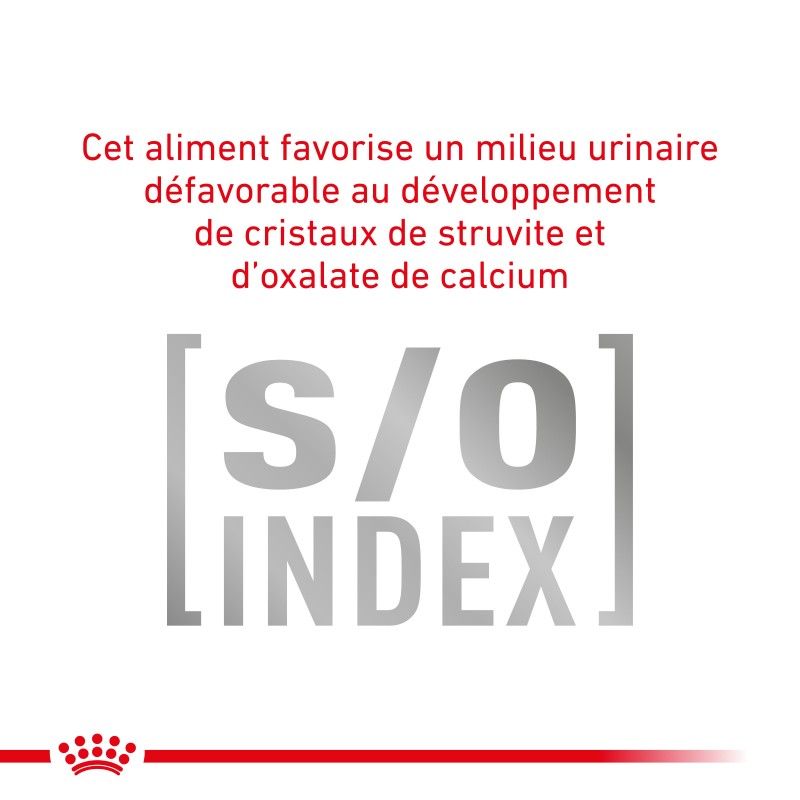 Royal Canin Veterinary Diet Cat Gastro Intestinal -12 sachets de 85 g