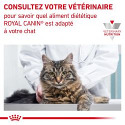 Royal Canin Veterinary Diet Cat Gastro Intestinal -12 sachets de 85 g