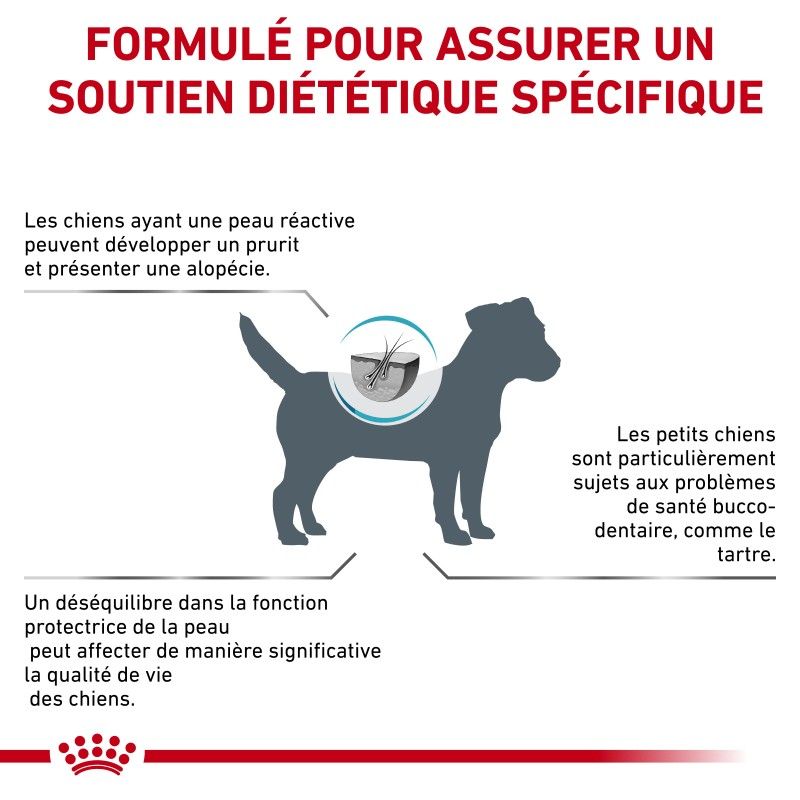 Royal Canin Skin Care Small Dog Royal Canin Skin Care Small Dog