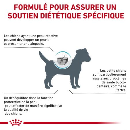 Royal Canin Skin Care Small Dog Royal Canin Skin Care Small Dog