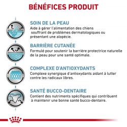 Royal Canin Skin Care Small Dog
