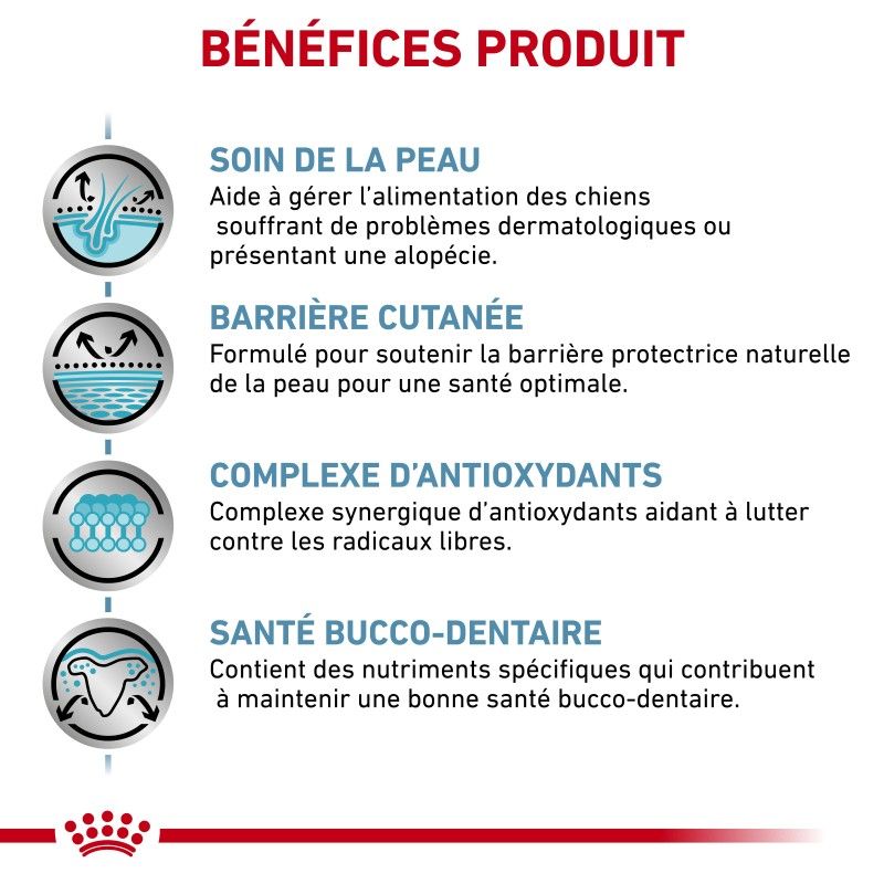 Royal Canin Skin Care Small Dog Royal Canin Skin Care Small Dog