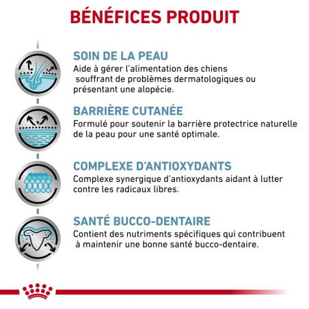 Royal Canin Skin Care Small Dog Royal Canin Skin Care Small Dog