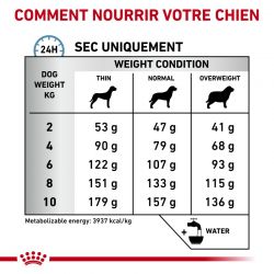 Royal Canin Skin Care Small Dog