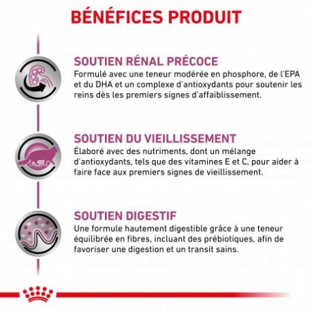 Royal canin Veterinary Diet Cat Early Renal 12 x 85 g Royal canin Veterinary Diet Cat Early Renal 12 x 85 g