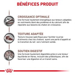 Royal Canin Veterinary Diet Cat Gastro Intestinal Kitten - 12 boites de 195 g