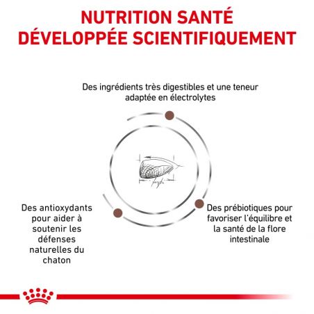 Royal Canin Veterinary Diet Cat Gastro Intestinal Kitten Royal Canin Veterinary Diet Cat Gastro Intestinal Kitten