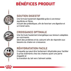 Royal Canin Veterinary Diet Cat Gastro Intestinal Kitten