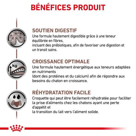 Royal Canin Veterinary Diet Cat Gastro Intestinal Kitten Royal Canin Veterinary Diet Cat Gastro Intestinal Kitten