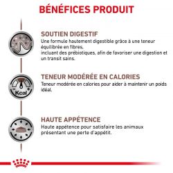 Royal Canin Veterinary Diet Cat Gastro Intestinal Moderate Calorie -12 sachets de 85 g