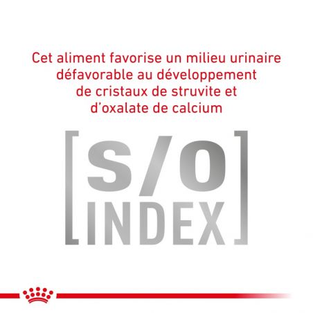 Royal Canin Veterinary Diet Cat Gastro Intestinal Moderate Calorie -12 sachets de 85 g