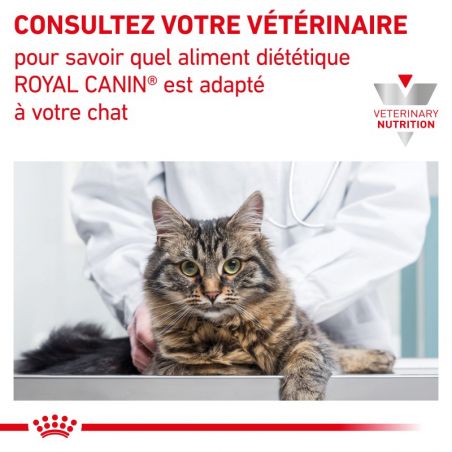 Royal Canin Veterinary Diet Cat Gastro Intestinal Moderate Calorie -12 sachets de 85 g Royal Canin Veterinary Diet Cat Gastro Intestinal Moderate Calorie -12 sachets de 85 g