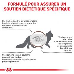 Royal Canin Veterinary Diet Cat Gastro Intestinal Moderate Calorie