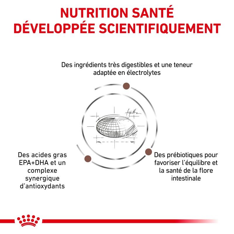 Royal Canin Veterinary Diet Cat Gastro Intestinal Moderate Calorie Royal Canin Veterinary Diet Cat Gastro Intestinal Moderate Calorie