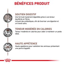 Royal Canin Veterinary Diet Cat Gastro Intestinal Moderate Calorie