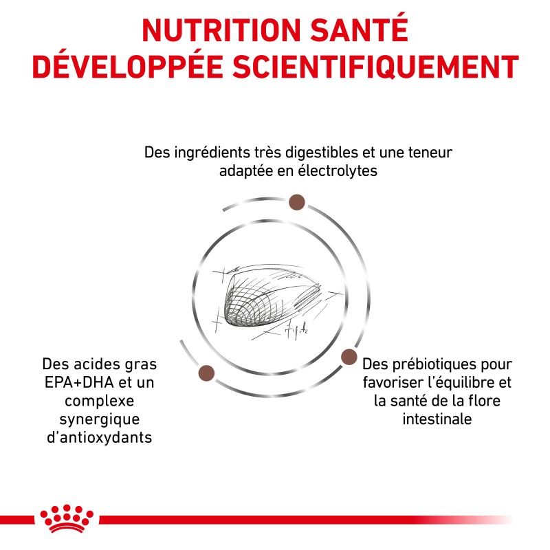 Royal canin Veterinary Diet Cat gastro Intestinal Royal canin Veterinary Diet Cat gastro Intestinal