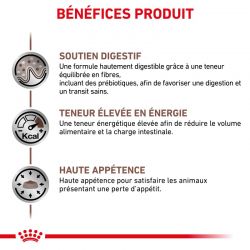 Royal canin Veterinary Diet Cat gastro Intestinal