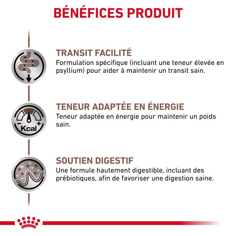 Royal Canin Veterinary Diet Cat Gastro Intestinal Fibre Response Morceaux - 12 sachets de 85 g Royal Canin Veterinary Diet Cat Gastro Intestinal Fibre Response Morceaux - 12 sachets de 85 g