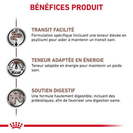 Royal Canin Veterinary Diet Cat Gastro Intestinal Fibre Response Morceaux - 12 sachets de 85 g Royal Canin Veterinary Diet Cat Gastro Intestinal Fibre Response Morceaux - 12 sachets de 85 g