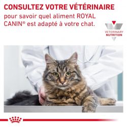 Royal Canin Veterinary Diet Cat Gastro Intestinal Fibre Response Morceaux - 12 sachets de 85 g