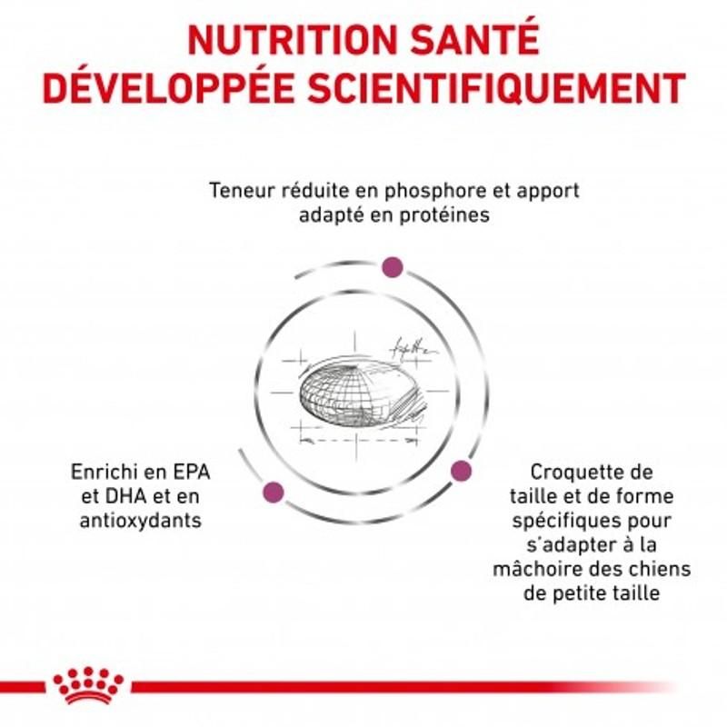 Royal canin Veterinary Diet Small Dog Renal Royal canin Veterinary Diet Small Dog Renal