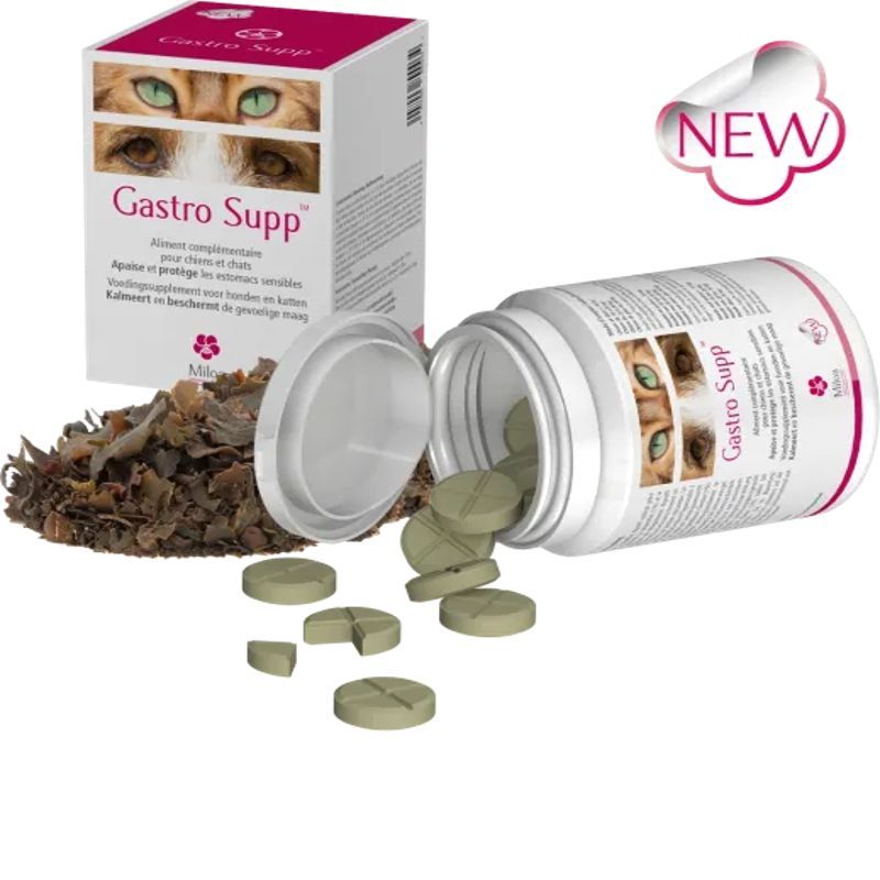 Miloa Gastro Supp pour chat - 30 comprimés Miloa Gastro Supp pour chat - 30 comprimés
