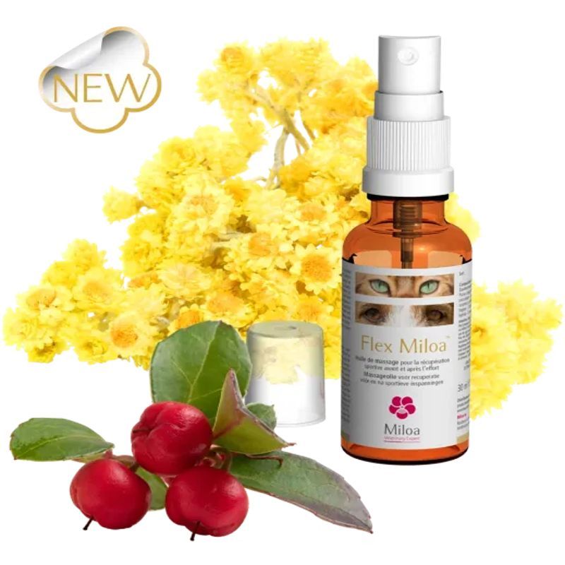 Flex Miloa - Flacon spray de 30 ml Flex Miloa - Flacon spray de 30 ml
