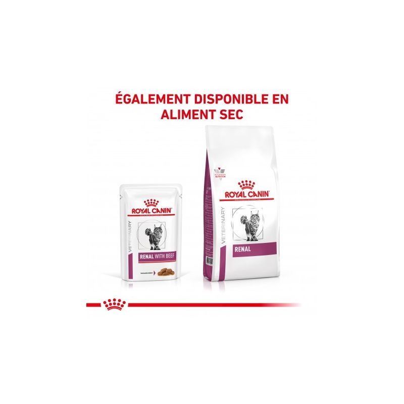 Royal Canin Veterinary Diet Cat Renal Boeuf en sauce 12 x 85g Royal Canin Veterinary Diet Cat Renal Boeuf en sauce 12 x 85g