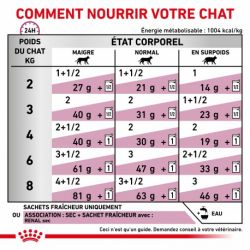 Royal Canin Veterinary Diet Cat Renal Boeuf en sauce 12 x 85g