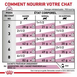 Royal Canin Veterinary Diet Cat Renal Poisson en sauce - 12 x 85 g