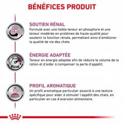Royal Canin Veterinary Diet Cat Renal Poisson en sauce - 12 x 85 g