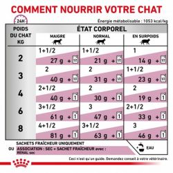 Royal Canin Veterinary diet cat Renal au poulet Mousse 12 sachets de 85 gr